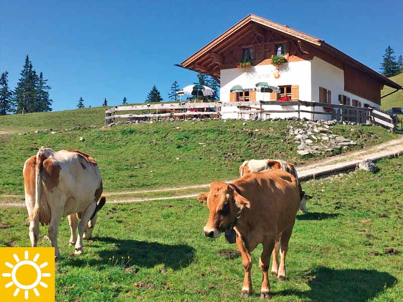 Fischbach-Almen-1405m