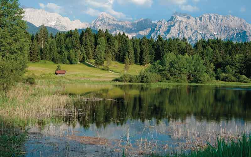 Tennsee Bayern Biotop