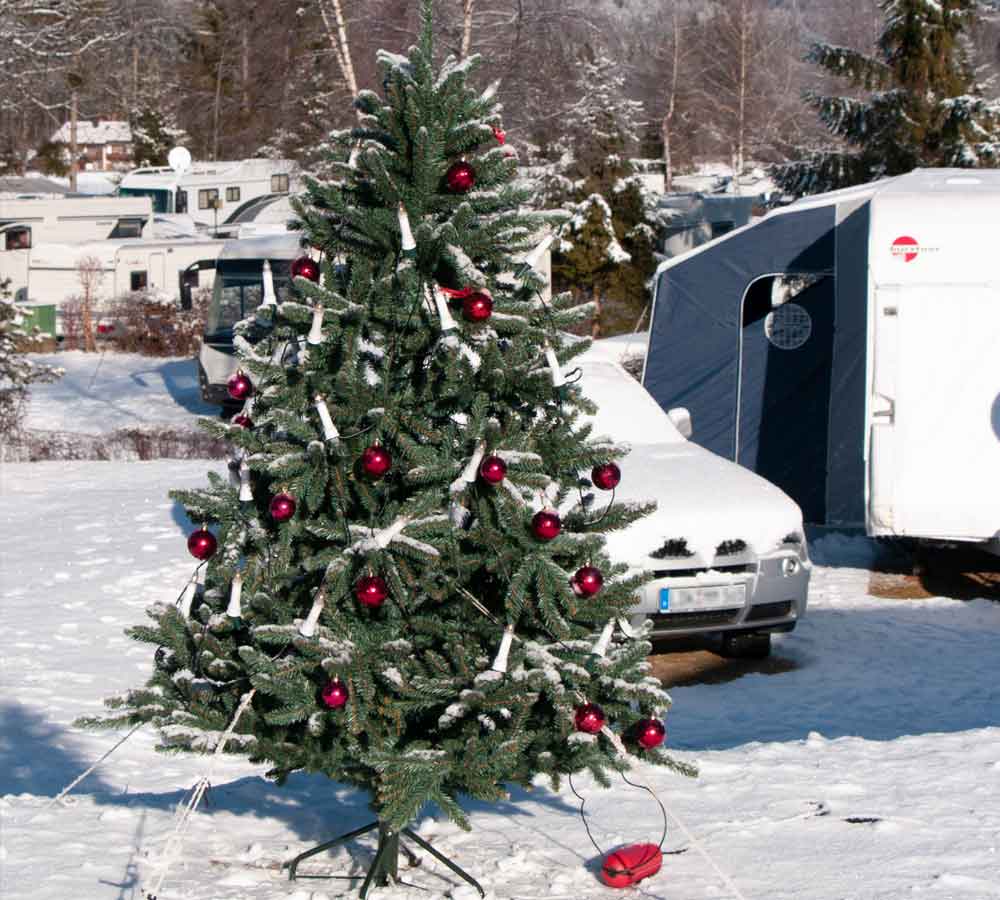 Silvester Weihnachtsbaum